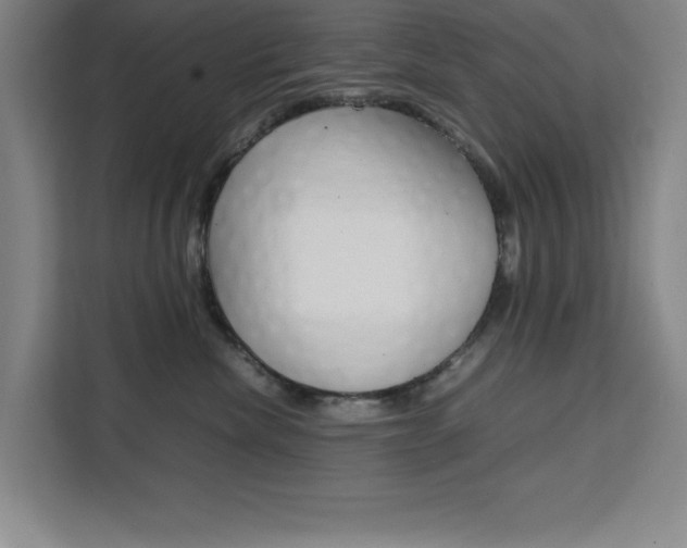 X0000111470476200907131242