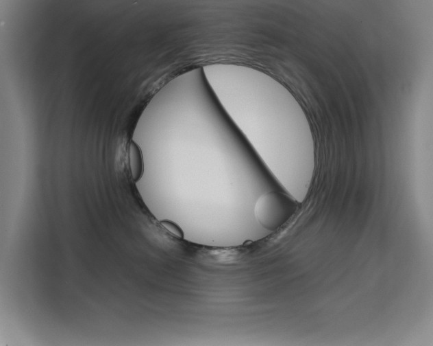 X0000111470478200907131242