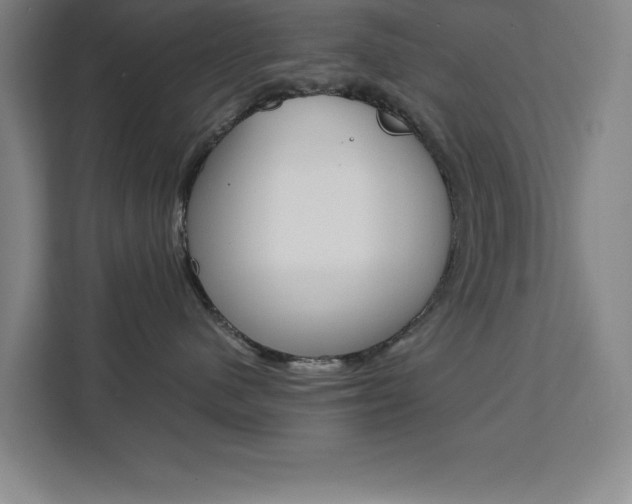 X0000111470480200907131242
