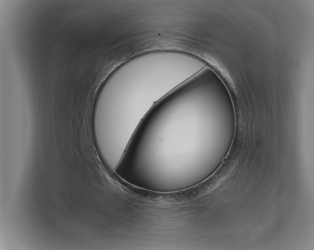 X0000111470481200907131241