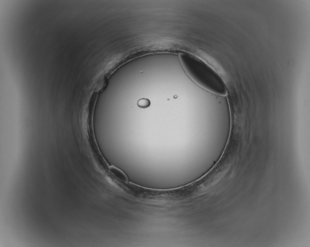 X0000111470485200907131241