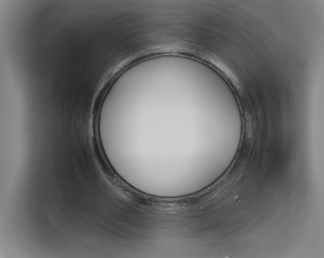X0000111470486200907131241