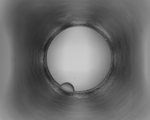 X0000111470490200907131241