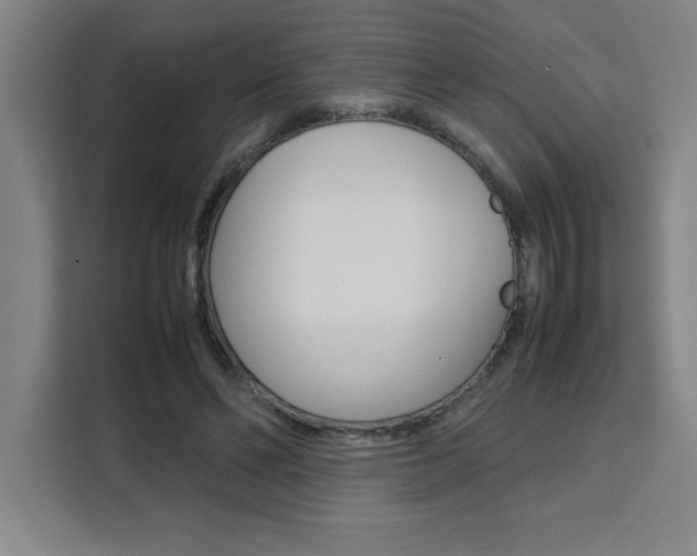 X0000111470494200907131241