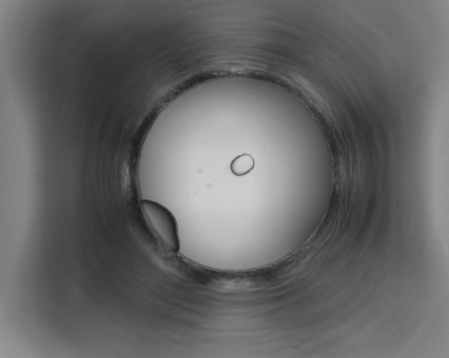 X0000111470500200907131241