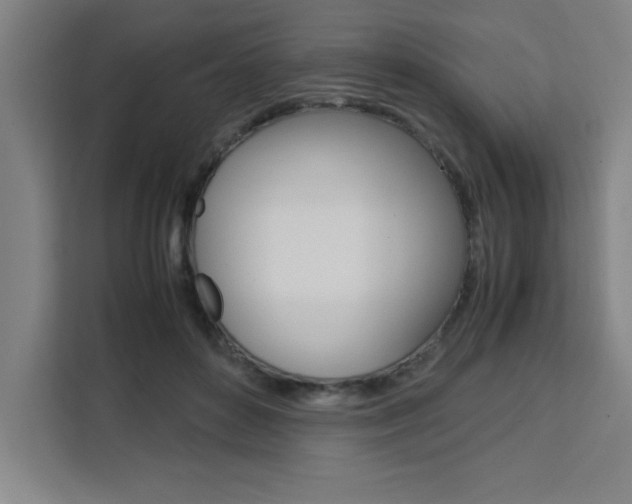 X0000111470504200907131241