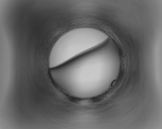 X0000111470505200907131241