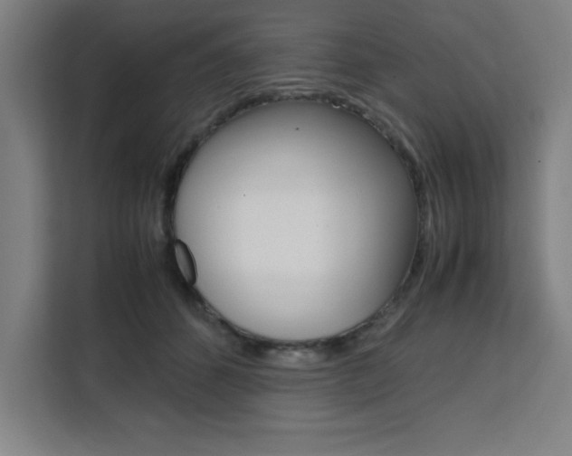 X0000111470512200907131241