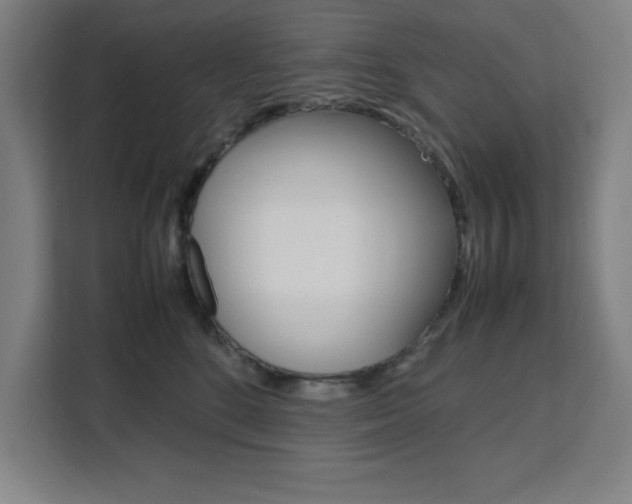 X0000111470520200907131241