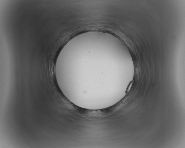 X0000111470525200907131241