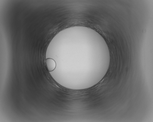 X0000111470528200907131241