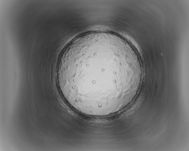 X0000111470529200907131240