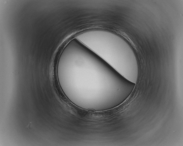 X0000111470531200907131240
