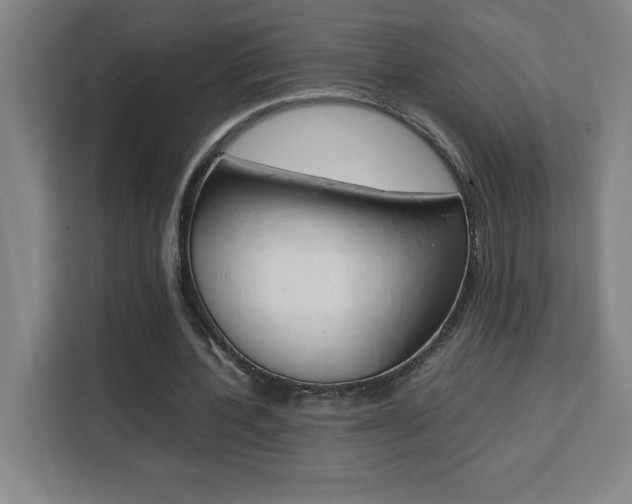 X0000111470532200907131240