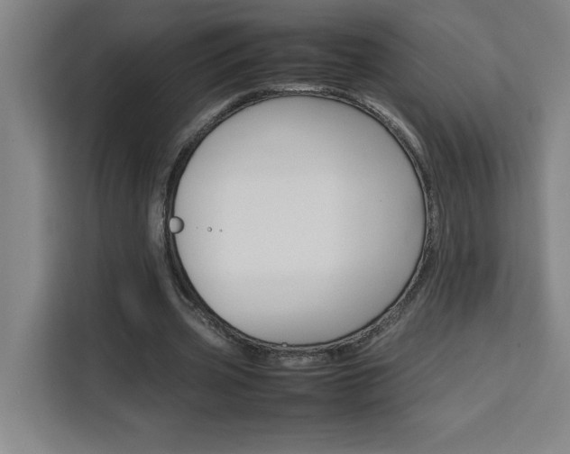 X0000111470533200907131240
