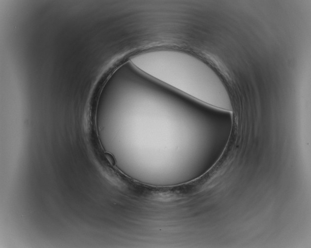 X0000111470540200907131240