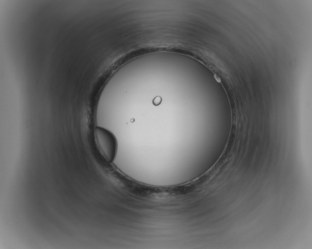 X0000111470544200907131240