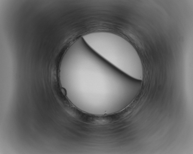 X0000111470547200907131240