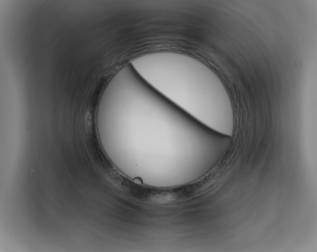 X0000111470551200907131240