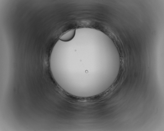 X0000111470561200907131241