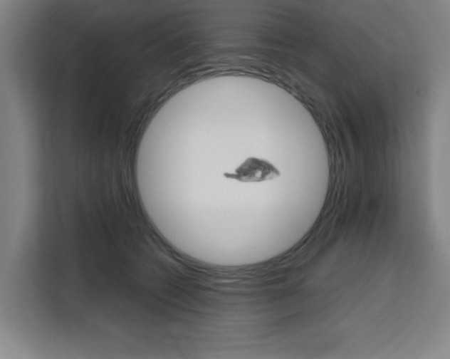 X0000111470562200907131241
