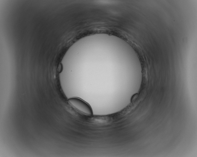 X0000111470567200907131241