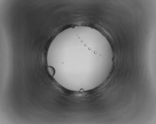 X0000111470569200907131241