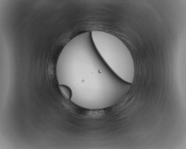 X0000111470571200907131241