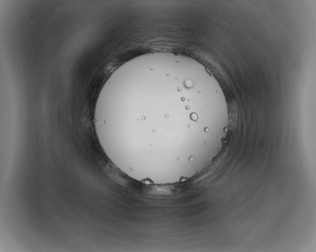 X0000111470573200907131241