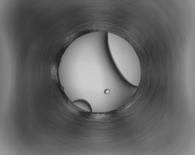X0000111470575200907131241
