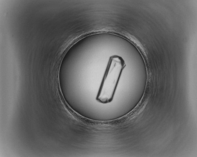 X0000111470577200907131240