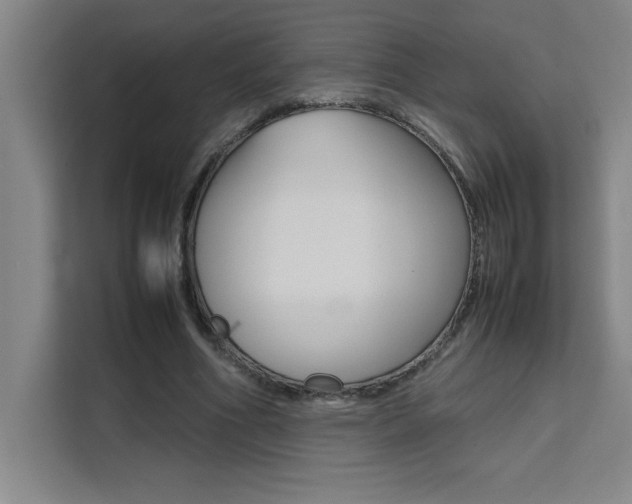 X0000111470586200907131240