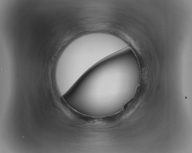 X0000111470589200907131240