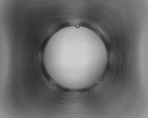 X0000111470598200907131240