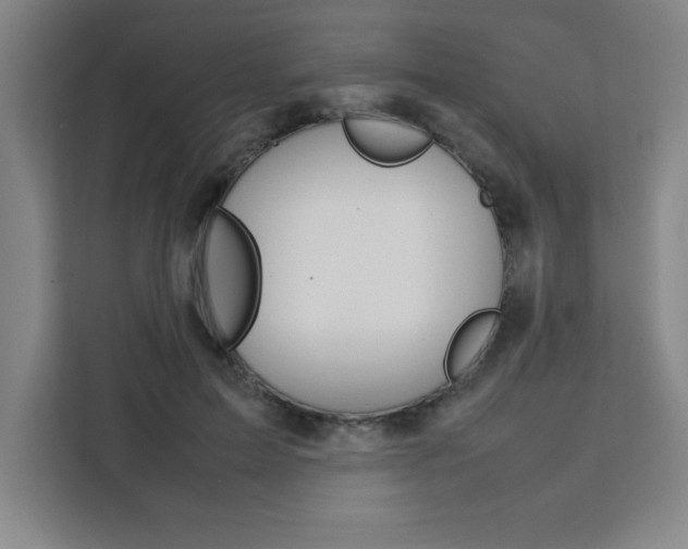 X0000111470599200907131240