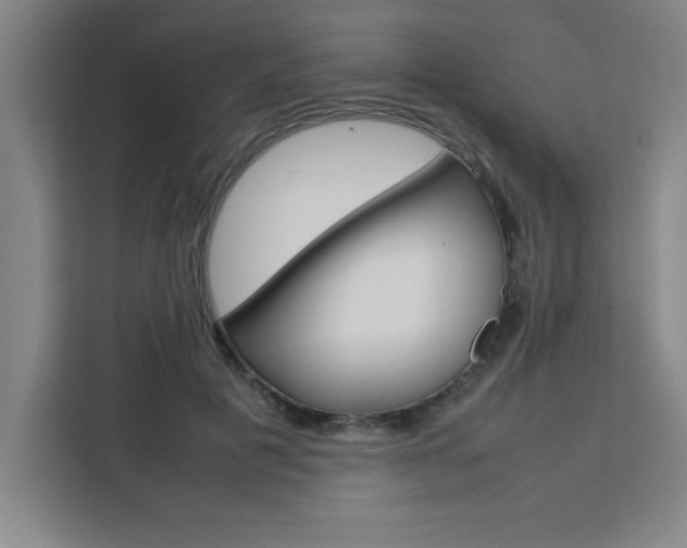 X0000111470601200907131240