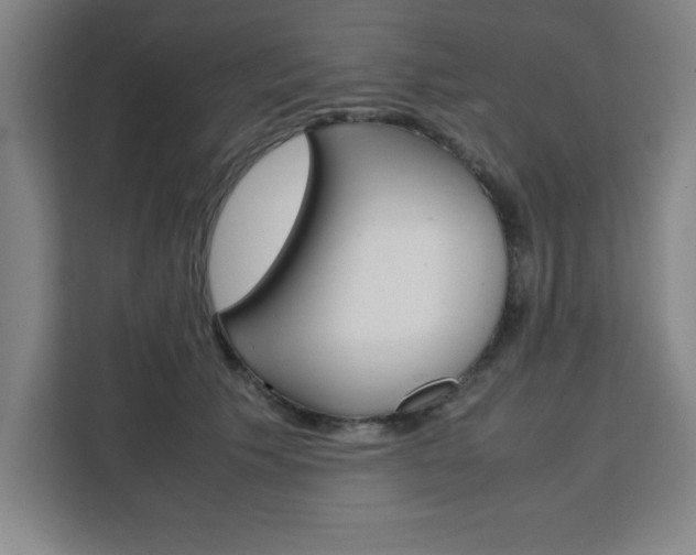X0000111470609200907131240