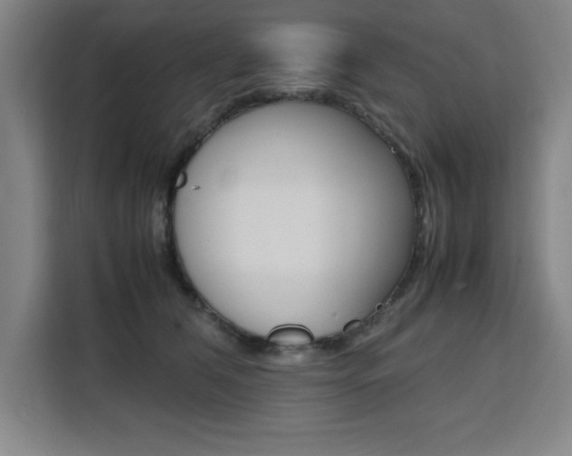 X0000111470612200907131240