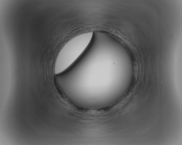 X0000111470613200907131240