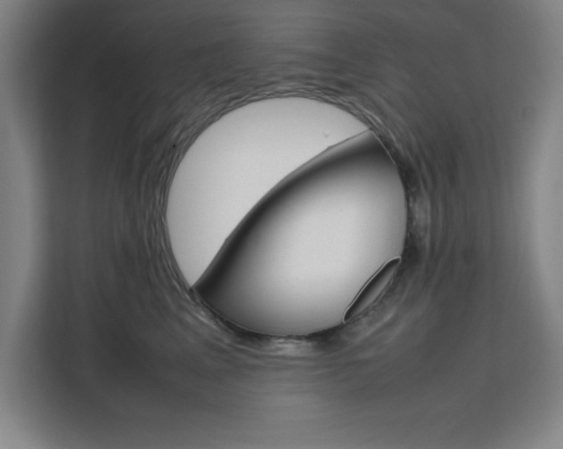 X0000111470617200907131240