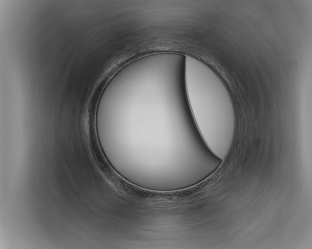 X0000111470626200907131239