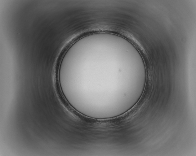 X0000111470629200907131239