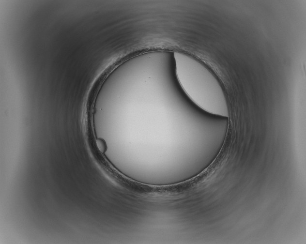 X0000111470630200907131239