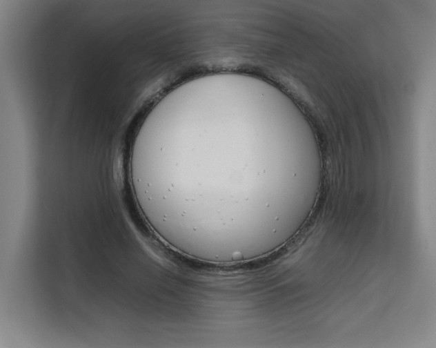 X0000111470638200907131239