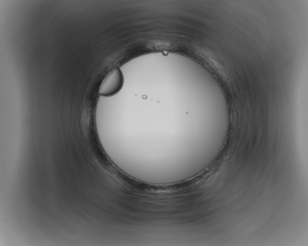 X0000111470645200907131239