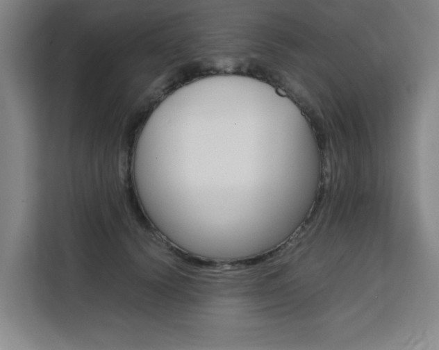 X0000111470656200907131239