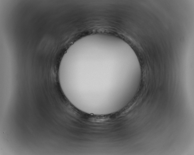 X0000111470661200907131239
