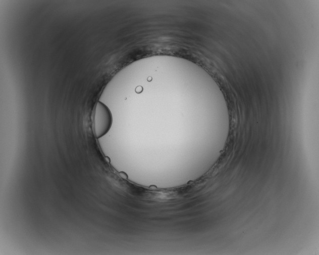 X0000111470663200907131239