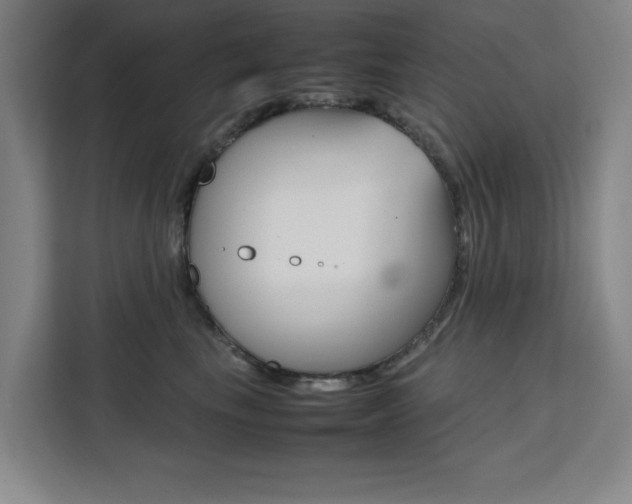 X0000111470665200907131239