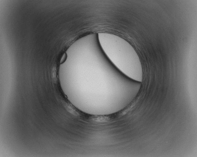 X0000111470670200907131239